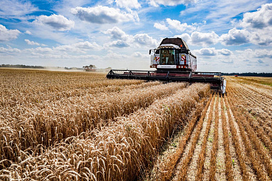 Первый миллион тонн зерновых собран в Липецкой области