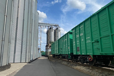 Развитие агроэкспорта – одна из ключевых задач для дальнейшего развития АПК Челябинской области