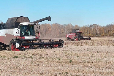 В Томской области еще два района завершили уборочную кампанию