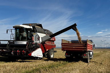 Аграриям Красноярского края возместят затраты на производство и реализацию зерновых