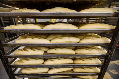 Татьяна Голикова рассказала о поддержке молодежи в трудоустройстве