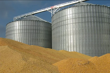 Элеваторы и хлебоприемных предприятия Саратовской области готовы принять 5,5 млн тонн зерна нового урожая