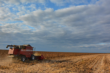Аграрии РФ собрали уже больше 32 млн тонн зерновых