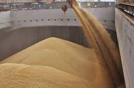 Абрамченко заявила, что РФ не намерена терять традиционных партнеров на зерновом рынке