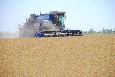 Российские аграрии собрали 1,1 млн тонн зерна нового урожая