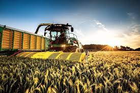 В России овощеводам будут субсидировать агротехнологические работы
