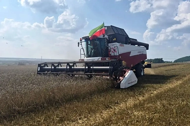 В Татарстане приступили к уборке зерновых культур