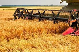 Аграрии России собрали 1,2 млн тонн зерновых