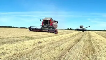 В Крыму заявили о рекордном урожае зерновых