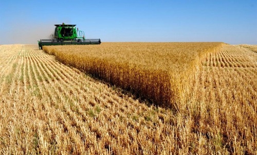 В России принят закон о праве фермеров на аренду сельхозземель без торгов