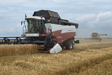 Российские сельхозпроизводители получат дополнительную поддержку