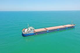 СМИ: российские компании запустили регулярные морские торговые перевозки в Индию и КНР