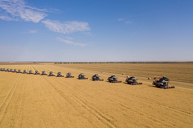Поддержка аграриев Донбасса и Новороссии в 2026 году вырастет на четверть