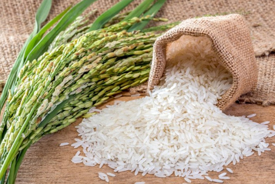 В Приморье рисоводы увеличили в условиях санкций площади посева