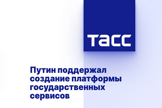 Путин поддержал создание платформы государственных сервисов
