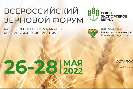 Всероссийский зерновой форум начал работу в Сочи