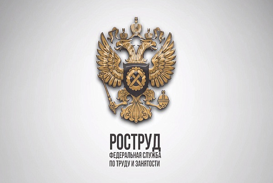 Алгоритм Роструда «Без проверки» помог восстановить права более 50 тысяч работников