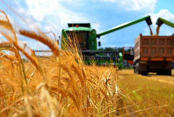Темпы роста производства сельхозпродукции в РФ в марте ускорились до 3% - Росстат
