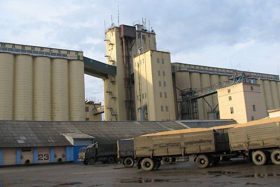 Минсельхоз увеличит до 6,3 млрд рублей расходы на зерновые интервенции в 2023 году
