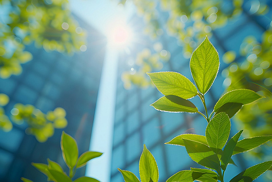 Российские IT-разработки заинтересовали участников GITEX в ОАЭ