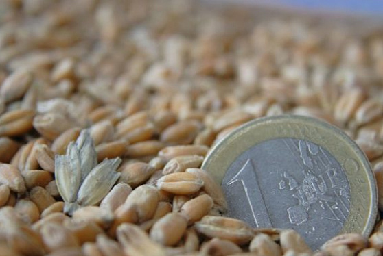 Экспортная пошлина на пшеницу из РФ с 3 августа снижена на 6,6%