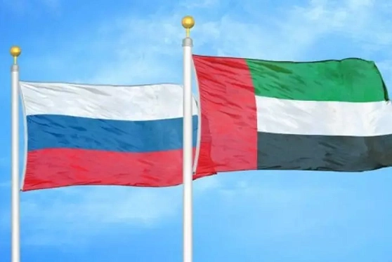 Товарооборот между РФ и ОАЭ в 2022 году вырос до $9 млрд