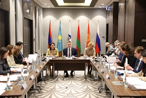 На заседании Совета по агропромышленной политике ЕАЭС обсудили перспективы развития АПК стран Союза