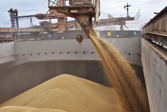 ОЗК планирует отправлять на экспорт до 1 млн т зерна через Приморский универсально-перегрузочный комплекс