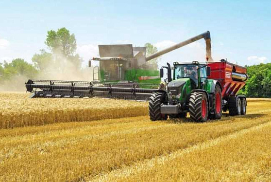 Крымские аграрии намолотили уже 1,6 млн тонн зерновых, превысив прошлогодний показатель