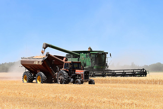 Эксперты не увидели в прохладной весне рисков для урожая зерна в РФ