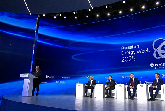 Путин поручил создать систему цифрового управления энергообеспечением регионов