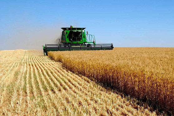 В парламенте Франции заявили об угрозе сельскому хозяйству из-за санкций