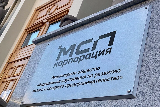 Объем закупок у самозанятых в первом полугодии 2025 года достиг 9,3 млрд рублей