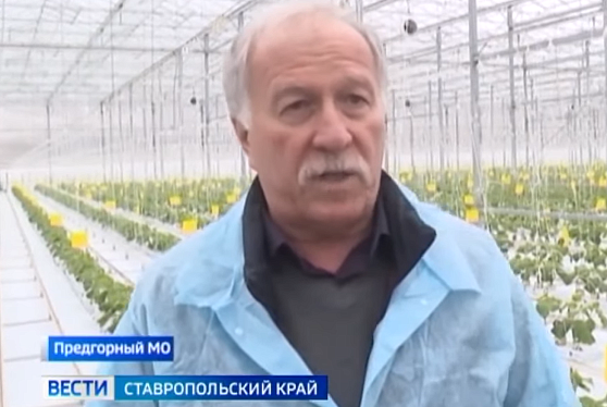 Власти Ставрополья решают вопрос продовольственного импортозамещения