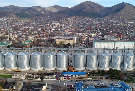 Недельный объем погрузки зерна в Новороссийске вырос до 201 тыс. т