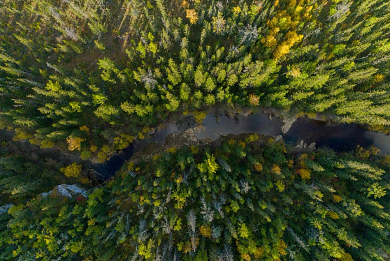 АЛРОСА представила уникальные климатические технологии на VI Северном форуме