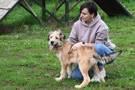 Концепция содействия развитию благотворительной деятельности в России до 2030 года