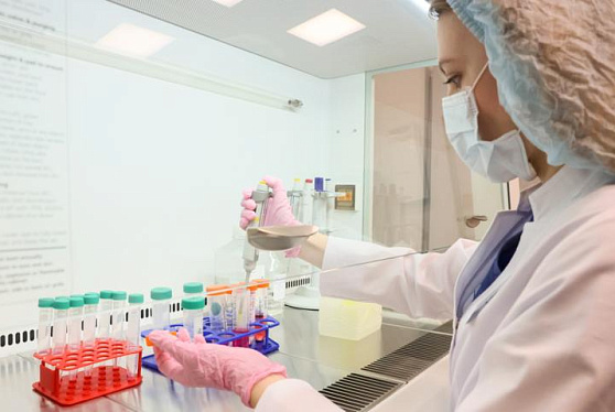 В России намерены выделить на науку 6 трлн 200 млрд рублей к 2030 году