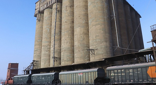 В Новосибирской области достаточно собственных запасов зерна и муки