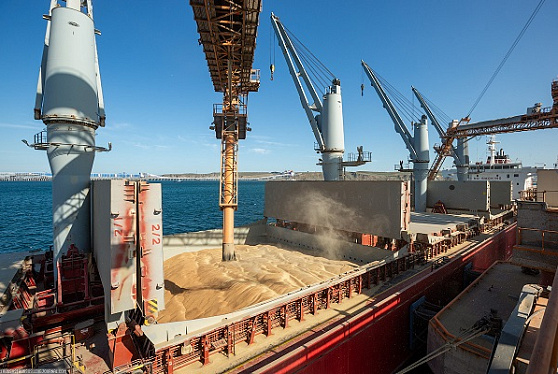 Российские экспортеры зерна могут обзавестись собственным флотом