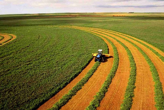 Путин подписал закон о праве фермеров на аренду сельхозземель без торгов